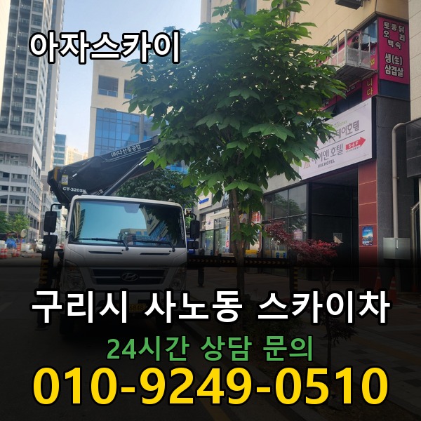 사노동 스카이차 아자스카이