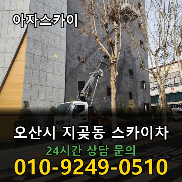 지곶동 스카이차 아자스카이