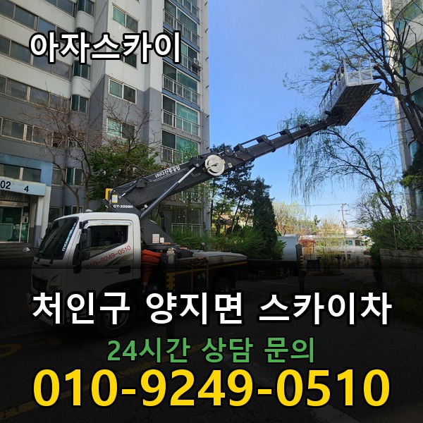 양지면 스카이차 아자스카이