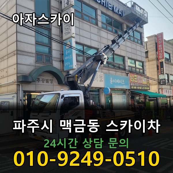 맥금동 스카이차 아자스카이
