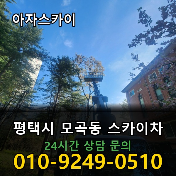 모곡동 스카이차 아자스카이