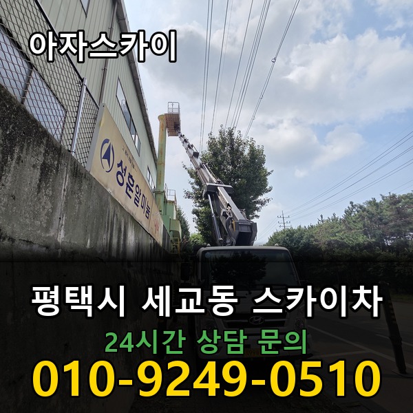 세교동 스카이차 아자스카이